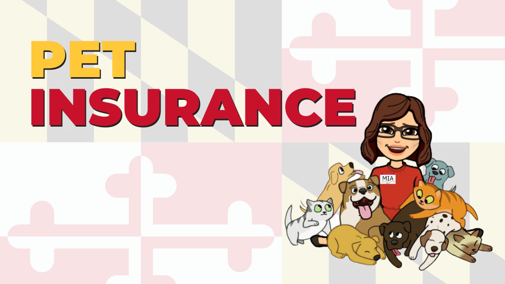 Pet Insurance.png