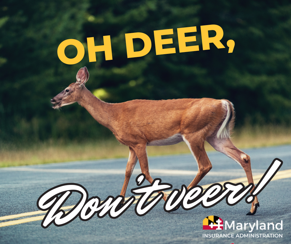 Oh, deer. Don't veer. photo of a deer crossing the road.