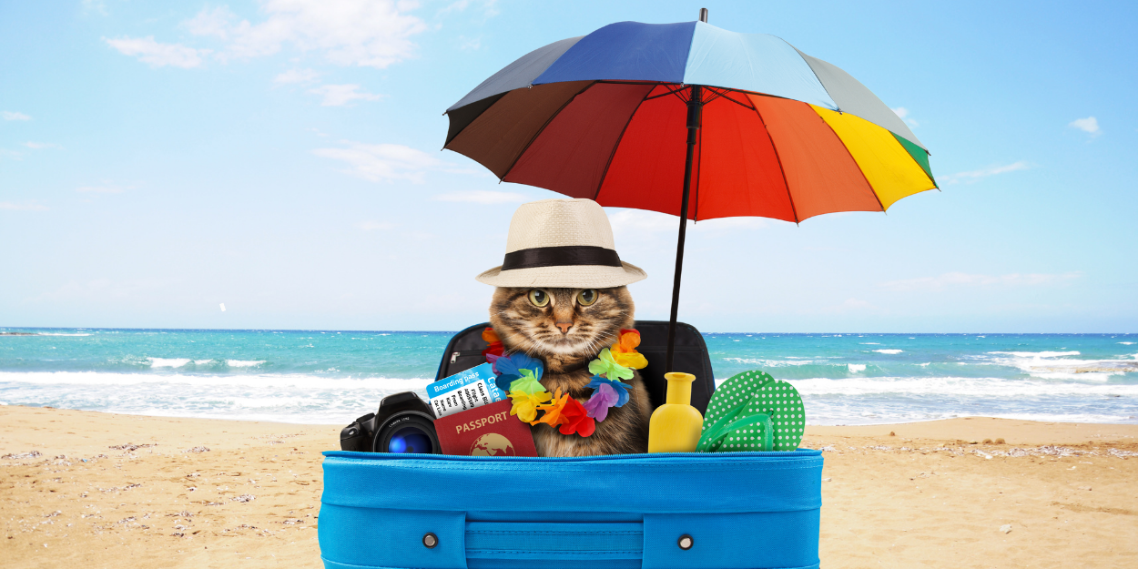 Planning the Purr-fect Vacation?