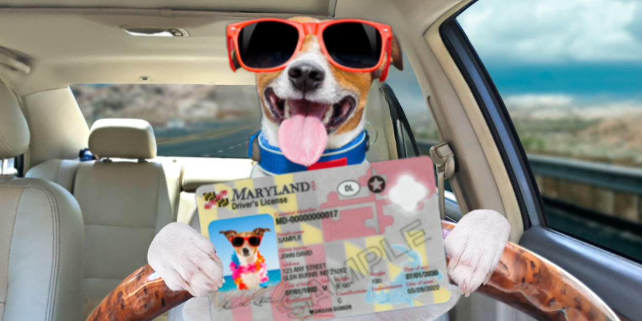 Are all licensed drivers living in your home listed on your auto policy?