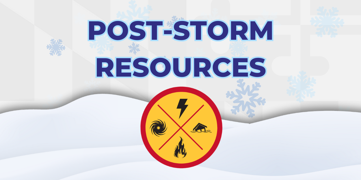 After the Storm Resources
